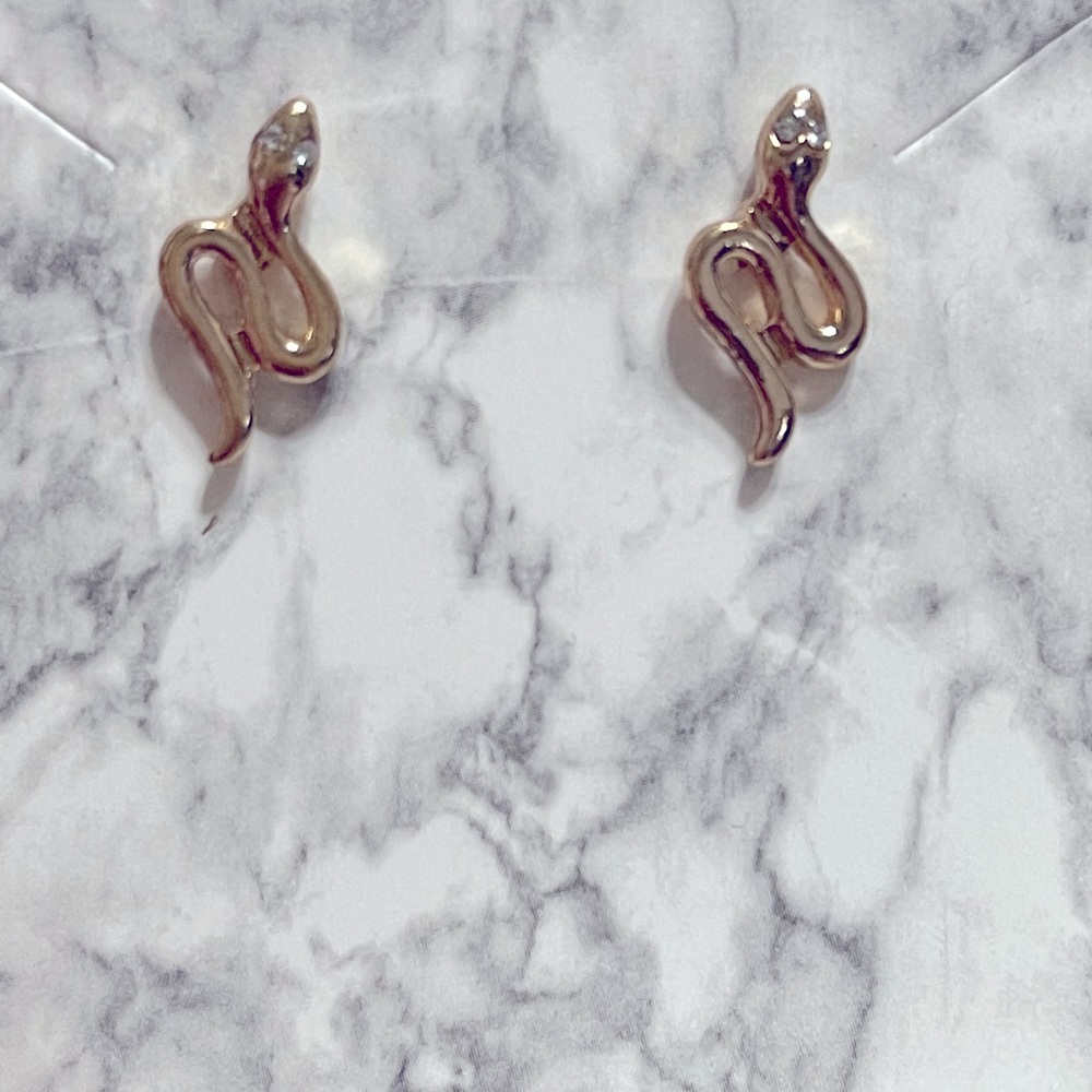 Free Press Earrings/Studs